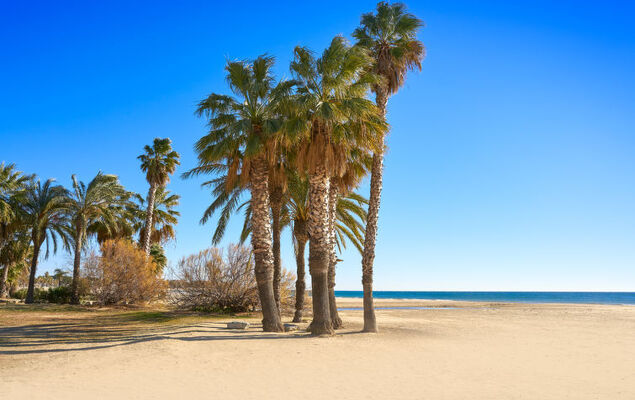 Villa Nena - Photo 23