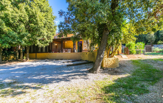 Mattarello - Photo 18