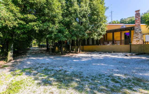 Mattarello - Photo 24