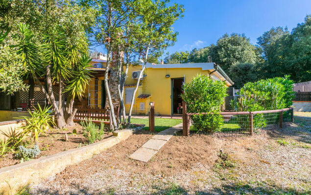 Mattarello - Photo 26