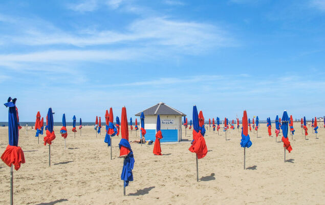 Domaine des roches - Photo 20