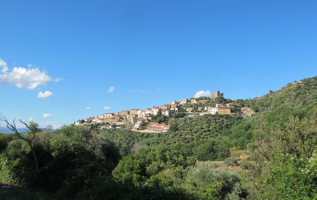 Aba Village - Photo 22